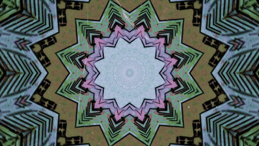 a hypnotic kaleidoscope. Illustrated lyric video